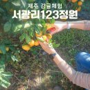 서광리-25 이미지