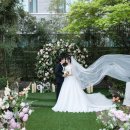 베스트웨스턴 프리미어 강남호텔 | [본식스냅 후기] 베스트웨스턴 프리미어 강남호텔 야외결혼식 (with 더수려한스냅)