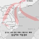 천연라텍스매트리스 와 가짜 라텍스매트리스 구별 방법 이미지