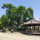 은행2리 마을회관 이미지