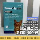 벳전문약국 | 임상원료 사용한 고양이 유산균 추천! <페노비스 벳 고양이 유산균> / 리뷰