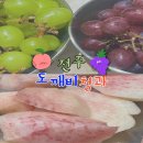 전주청과 | 종류가 다양하고 맛좋은 전주 과일가게 도깨비청과 재방문후기