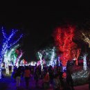 하늘빛공원 이미지