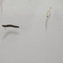 상수도사업본부 화장실 이미지