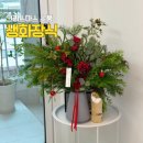 크리스마스 소품 하나가핀 생화장식과 똔뚜