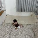 보리네민박 | 애견동반 숙소, 보리네 민박! 아기와 강아지와 다녀온 가족여행