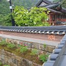 천년 역사 속 옛길 | [사찰] 천년의 향기, 보현사(普賢寺)를 걷다