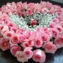 연일초등학교 이미지