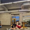 쿡캣 이미지