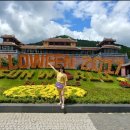 골든 종합카 이미지