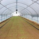 세원농장 이미지