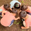 고려어린이집 이미지