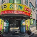 제주유기농쌈밥촌 | [충남/논산] 논산쌈밥, 다양한 쌈 종류, 제주유기농쌈밥촌 본점 후기