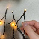 원트리 | 6천원으로 크리스마스 트리 만든 후기, 다이소 크리스마스 정보