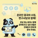 중국어(온라인) | 중국 국제학교 중국어 수업이 어려울 때? 초등 온라인 중국어 수업 후기