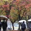 영서네 이미지