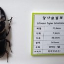 (주)운우 이미지