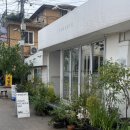 용산17-2 농로 | 서울 용산 비건 레스토랑/와인바 &#39;퍼멘츠&#39; 내돈내산 후기