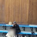 수원시 체육회주변 | 제106회 부산 전국체전 여자배구 일반부 준결승 관람하고 온 후기(원더독스 선수 출전)