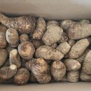 봉황약국 이미지