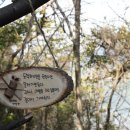 화천산소길 이미지