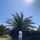 마파도민박 이미지