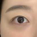 레브9 | 구월동 가지런하고 유지력 좋은 9 - 10mm 속눈썹 연장 후기 &#39;레브연 &#39;
