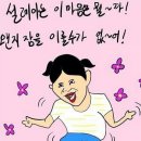 티피엘 이미지