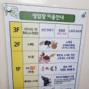 STARDOM PC | 우울해하는 여자친구를 위해 급떠난 여행 / 정선여행 1일차