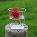 울산광역시보조기기센터 | 장애인 노인 보조기기 지원 신청 방법