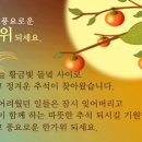 흙과자연