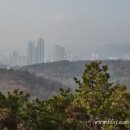 (주)크라이치즈버거