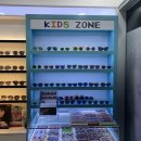 봄안경(용이점) 이미지