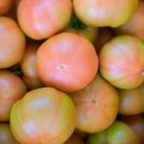 본초밥상 이미지