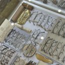 꼼꼼안경 이미지