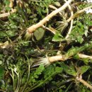 참새골약수터 이미지