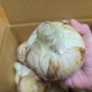 광평농장 이미지