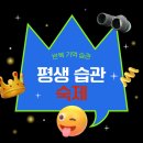 수리술술 네이버블로그