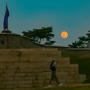 수원-0379 Daum카페