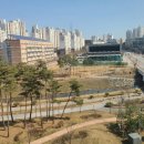 아름동_아카데미타워 이미지