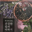 헤메드(hermed) 헤어
