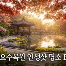 물의정원(양귀비 식재 구간)[송촌-4] | 아침고요수목원 포토존 어디서 찍어야 인생샷? 2026년 완벽 가이드