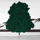 한겨례약국 | 최진영 소설 &lt;단 한 사람&gt; 리뷰