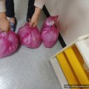 여성 가족원 본원 이미지