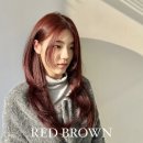 세미레드 이미지