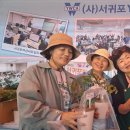 김영순농장 이미지