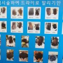 하이클라스미용실 네이버블로그