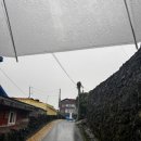 성산1천 | 제 4회 제주 성산조개 바당축제 일정 제주드론쇼 성산일출봉, 추가) 드론라이트쇼취소