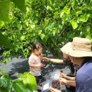 나래농원 이미지