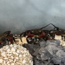 소래습지생태공원(전시관) 이미지